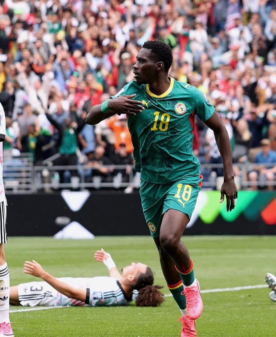 senegal 1.jpg